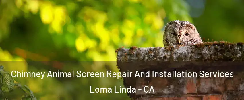  Chimney Animal Screen Repair And Installation Services Loma Linda - CA