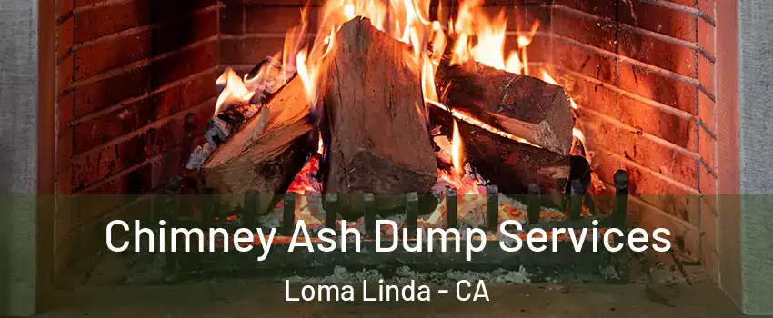 Chimney Ash Dump Services Loma Linda - CA