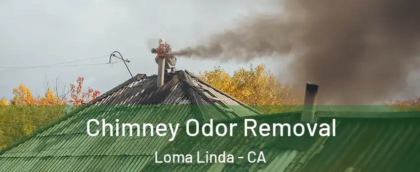  Chimney Odor Removal Loma Linda - CA