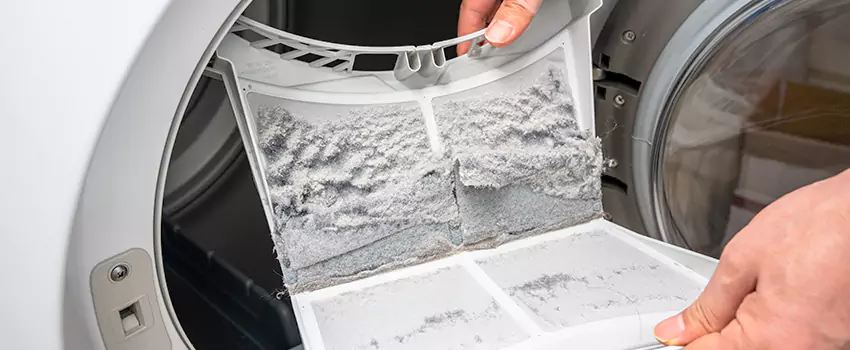 Best Dryer Lint Removal Company in Loma Linda, California