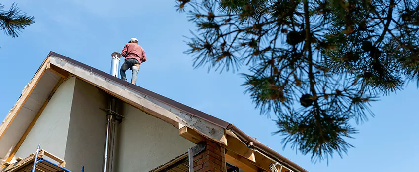 Birds Removal Contractors from Chimney in Loma Linda, CA