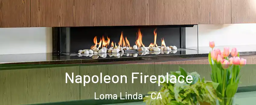  Napoleon Fireplace Loma Linda - CA
